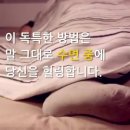 신기양파