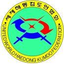 세계해동검도 이미지