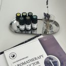 꿈꾸는 아로마 테라피 이미지