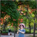 부천-중앙-부천-01 이미지