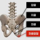 바름필라테스 네이버블로그