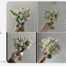 아미가 | [Wedding] 아미가플라워 웨딩촬영 부케 후기