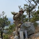 컴뱃박스 이미지