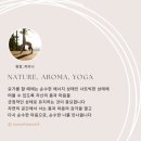 아로마숲 이미지