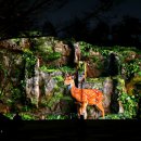 (상반기)인생의 사계절을 만나다 | 🏞️✨ 서울 야경 명소! 동대문 배봉산 미디어파사드 숲속폭포에서 빛의 예술을 만나다! 💖🤰