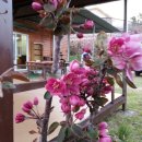 바다가보이는집민박 이미지