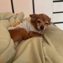 가현산낚시터 | 집 뒷산 후기 ㅣ 가현산