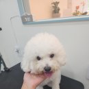 나무미용실