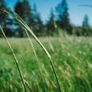 니스해변 이미지