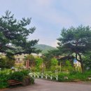 천서리막국수레이크cc점 이미지
