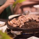 햇살마루청둥오리 이미지