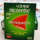 약국 금연패치 니코틴 껌 솔직 후기 &amp; 정착 방법 소개