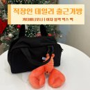 디자인이지박스 | 직장인 데일리백 출근가방 드디어 정착..👜 | 키티버니포니 이지 블랙 박스 백 수납력 후기 +내돈내산