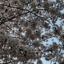 계양경기장-서운체육공원 이미지