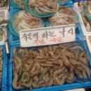 낙지소동