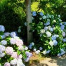 이순신공원(기상대) 이미지