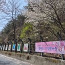 자진뱅이길 이미지