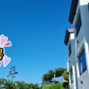 남해-203 이미지