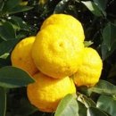 청산도게스트하우스 이미지