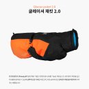 도그데일리 이미지