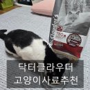 생각한장 | 아기고양이사료 노묘도 맛있게 먹는 고양이사료추천] 헤어볼과 장 건강까지 생각한 실내묘 사료 후기