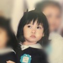보고유치원 이미지