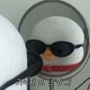 화화 불날개 이미지