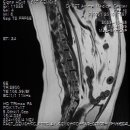 마이펫동물의료센터 이미지