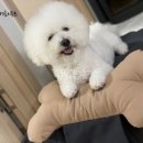 따숩개하우스 이미지