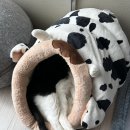 두리세탁 이미지