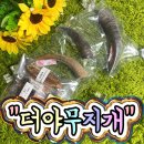 야무지개 이미지