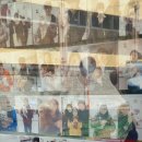 명품애견 이미지