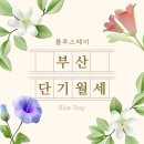 세븐일레븐부산동아대원룸점 | 부산 동아대 고시원 중 경관이 수려한 갓성비 남부민동 월세