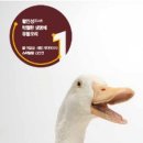 중원오리 네이버블로그