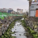 현대자동차 삼화점 이미지