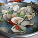 빛과갯벌-1 이미지