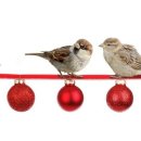 노들유치원 이미지