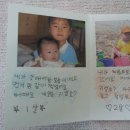 3학년 과학 동물의 한살이 - 사람의 성장과정, 사람의 일생, 사람의 성장앨범 - 정유정의 성장앨점 이미지