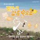 오렌지버드 이미지