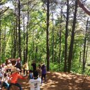 율곡수목원(1) 이미지