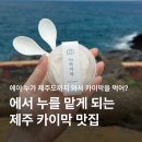 제주 애월 디저트 맛집 시소카이막 내돈내산 포장 후기