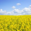 창조행정사사무소 이미지