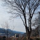 흥부바지걸쳐입고 이미지