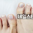 네일스타지 이미지