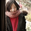비에비스나무병원 이미지