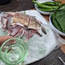 세꼬시초장 | 남해안 활전어 순살필렛 250g 집에서 세꼬시로 먹어본 솔직 후기