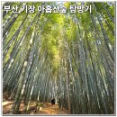 산주마을 | 부산 기장 아홉산숲 탐방기 400년 대나무숲 탐방기 부산 숲여행