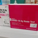 에스디렌터카 이미지