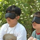 숲의 소리 이미지