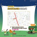 전남 목포 로데오광장 축제 / 오쇼잉 페스티벌 유월 원도심 캠프닉 후기